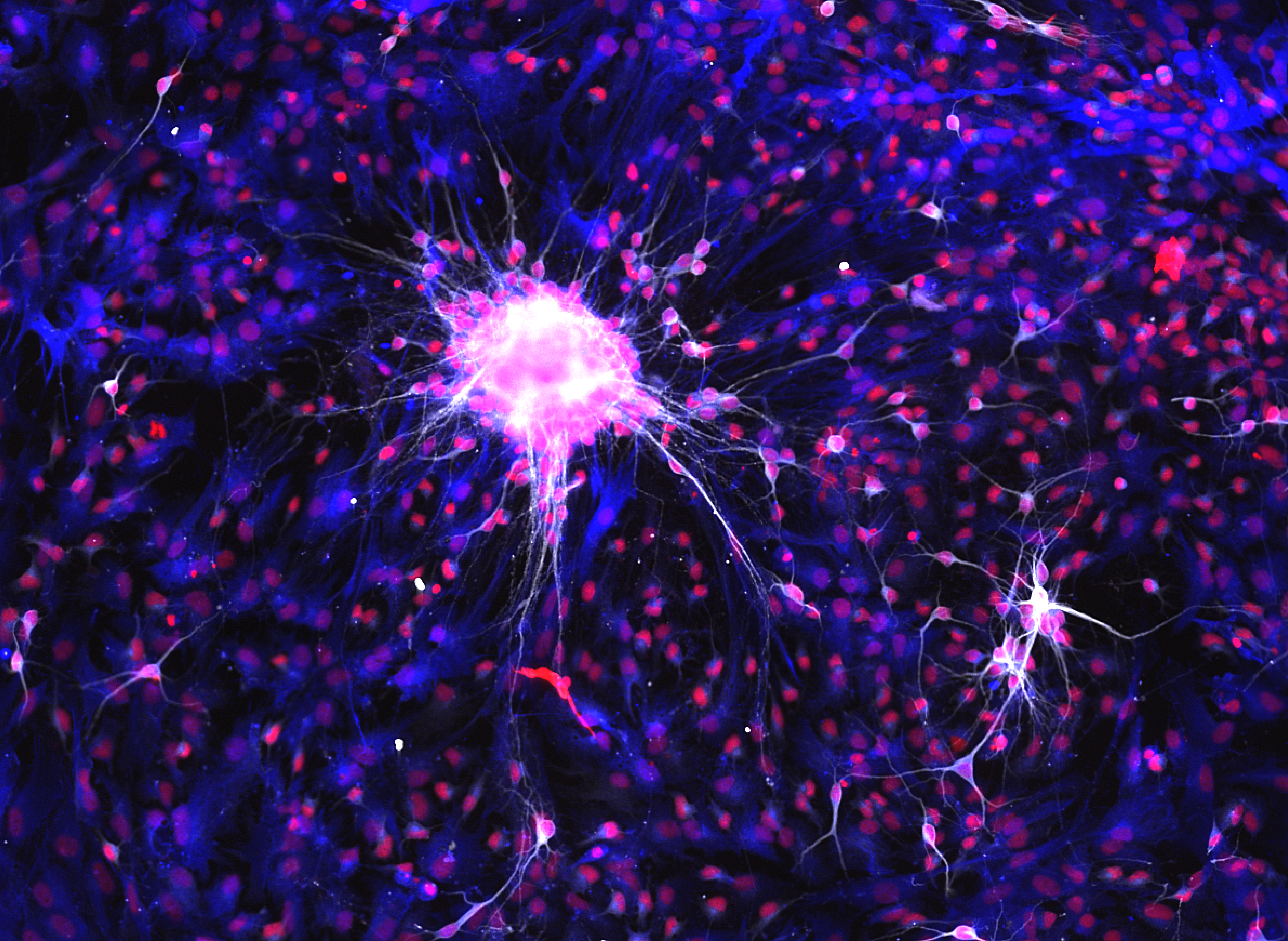 SUI Health Laboratory Research